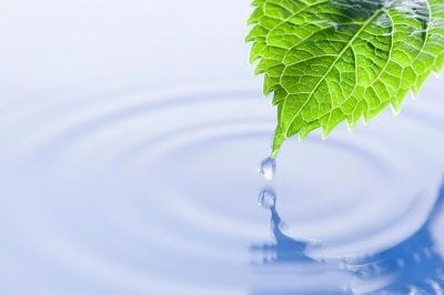 What kind of Water to drink